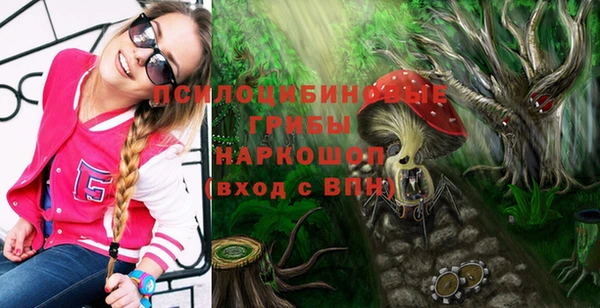 прущие грибы Зерноград