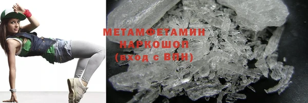 прущие грибы Зерноград