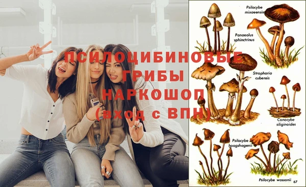 мяу мяу мука Зеленодольск