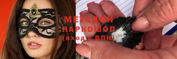 прущие грибы Зерноград