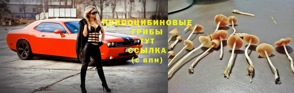 кокаин Зеленокумск